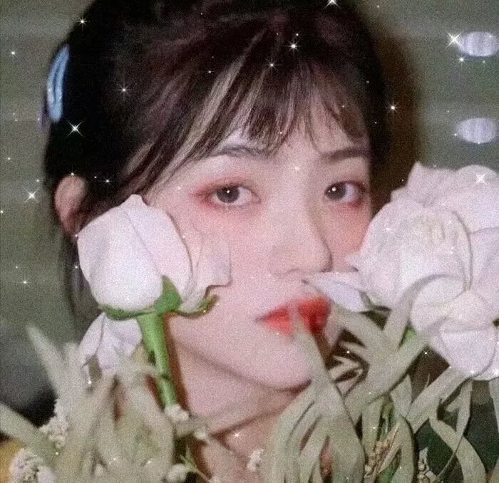 与鲸共舞第一季